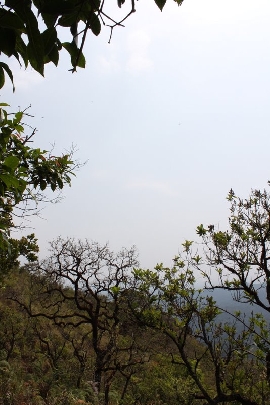 India 2010 - Coorg - Honey Valley - Climbing the Hills - Eastern Hill